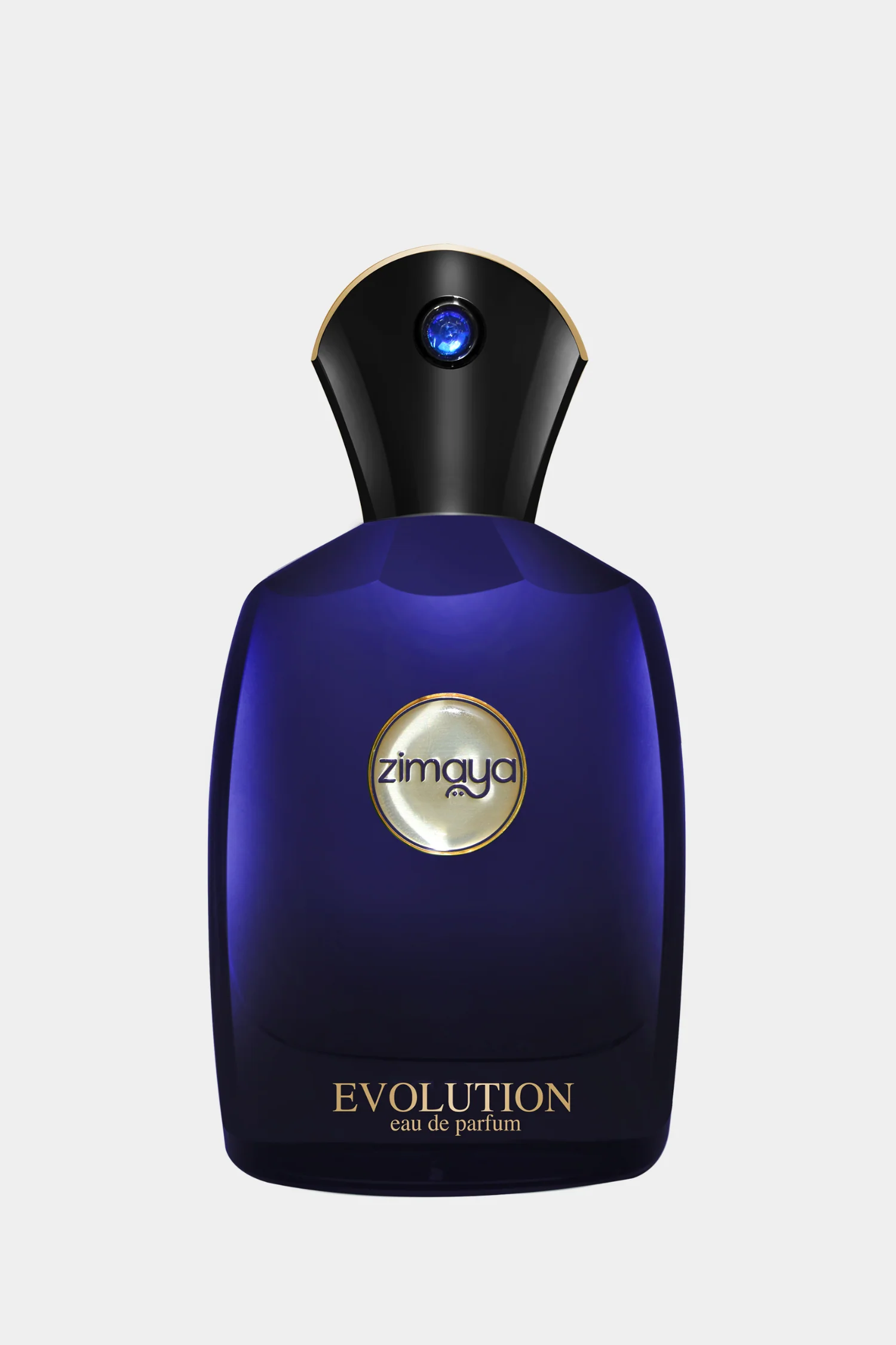Evolution